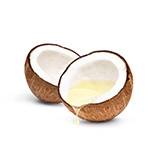 Coconut Oil