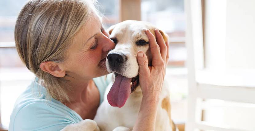 ältere Frau küsst Hund, Giradienübertragung möglich