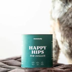Hüftdysplasie beim Hund: Alles, was du zu HD wissen musst