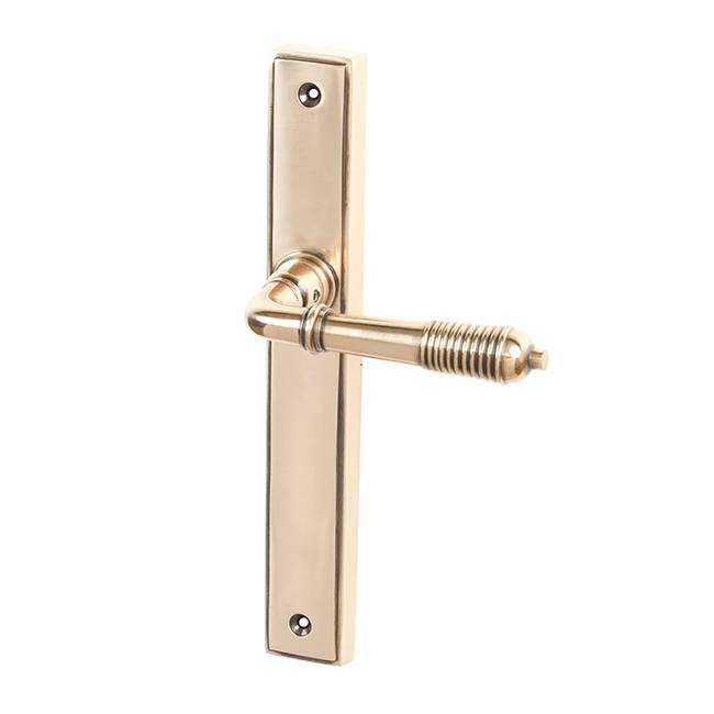 Polished Bronze Reeded Slimline Multipoint Door Handle
