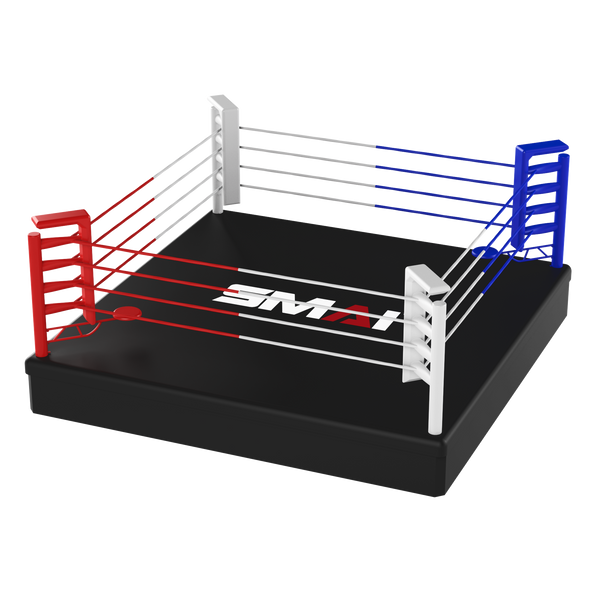 6m Boxing Ring - Competition