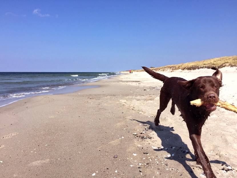 9. Ein Tag am Strand