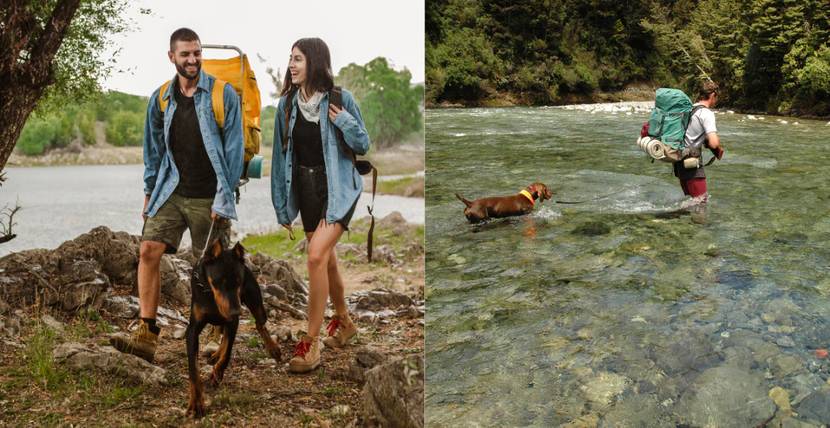 Trekking-mit-Hund