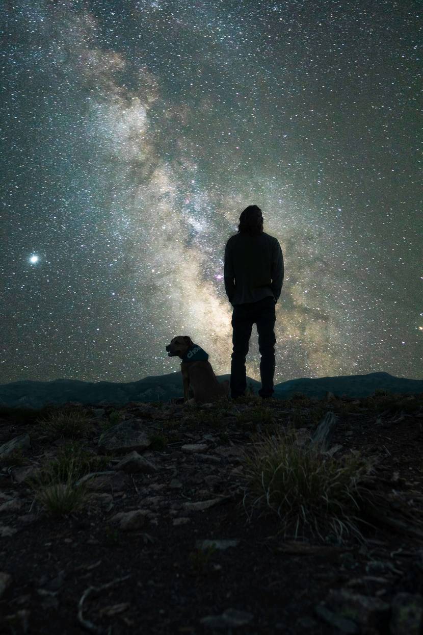 7. Wenn die Sterne aufgehen: Nachtwanderung mit Hund