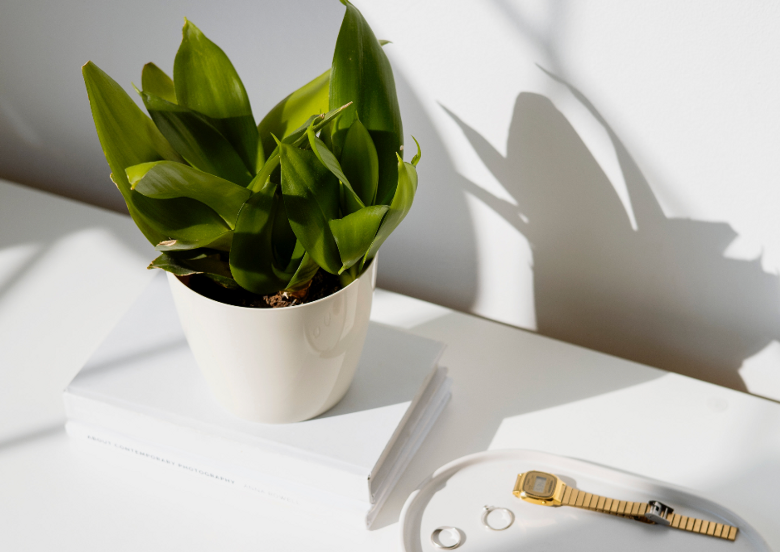 Spring Cleaning: benefits for your mind, body and soul.