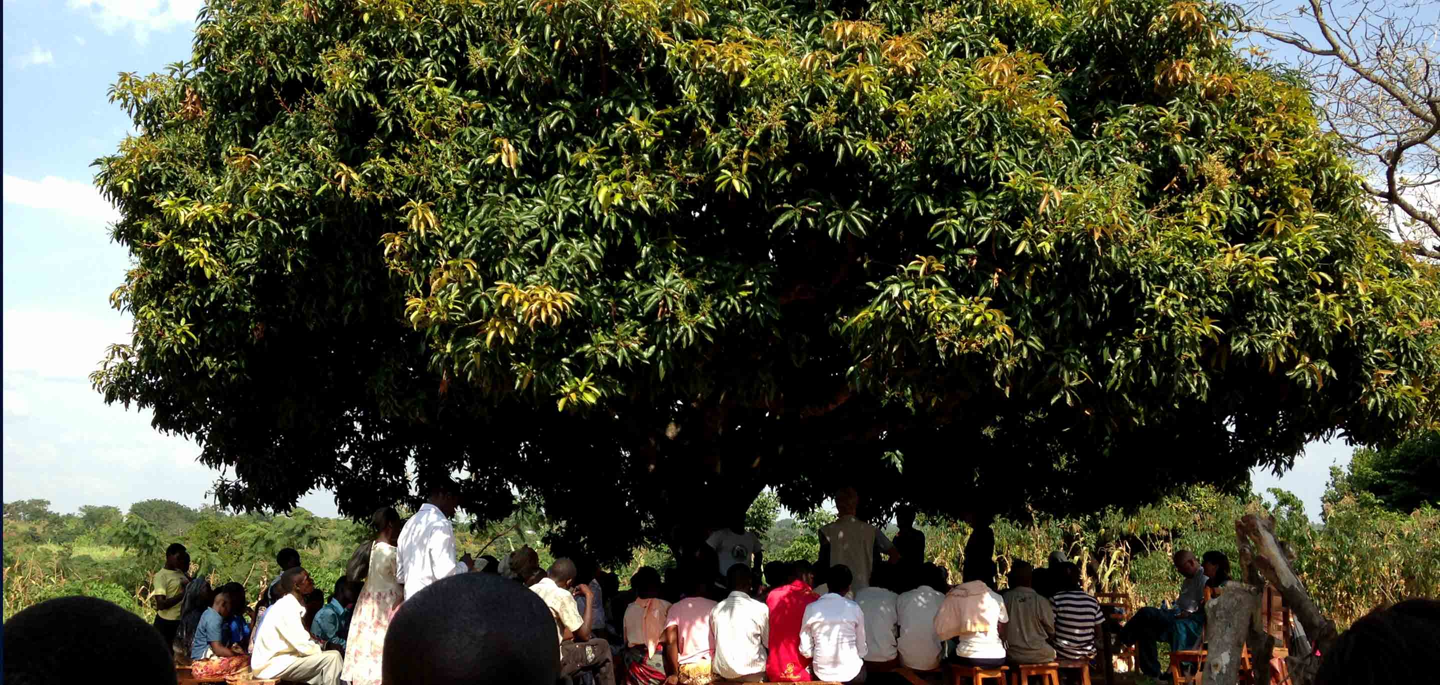 A Trip to Africa: Day 2 – Dancing, Mango Trees & The Dry Mill