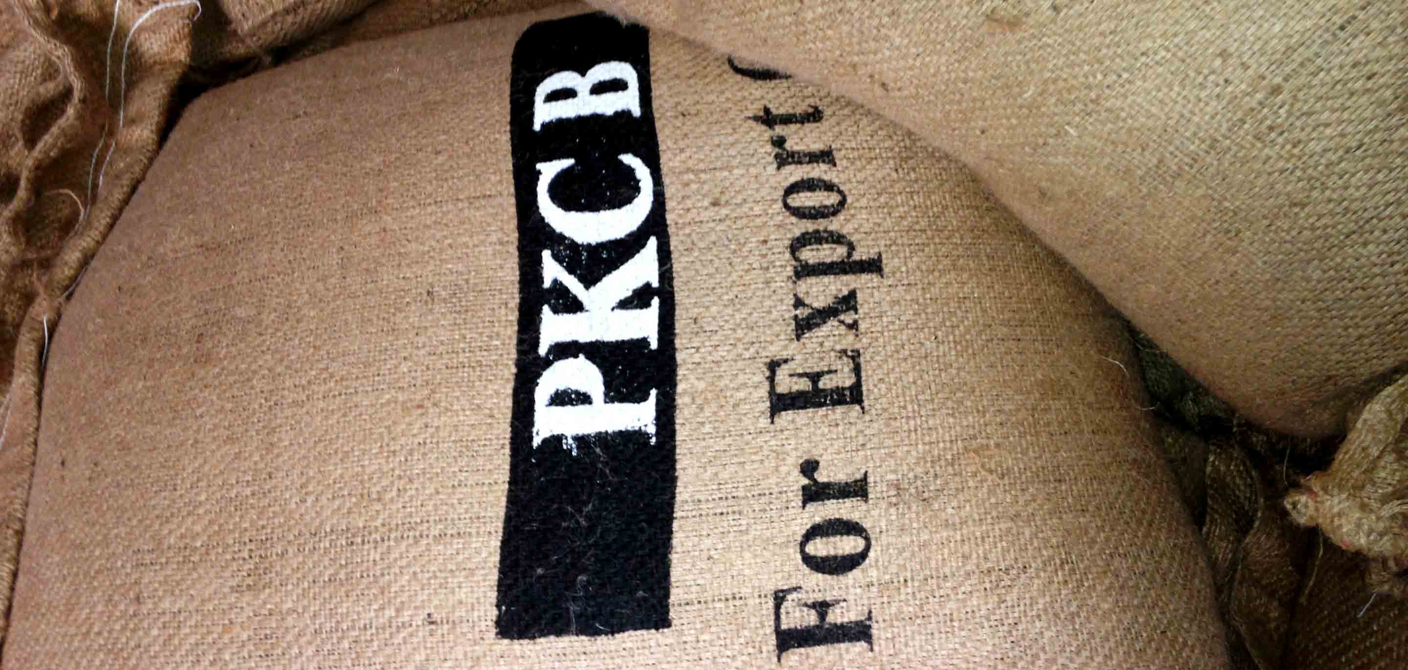 A Trip to Africa: Day 5 - Coffee Quality & A New Mystery