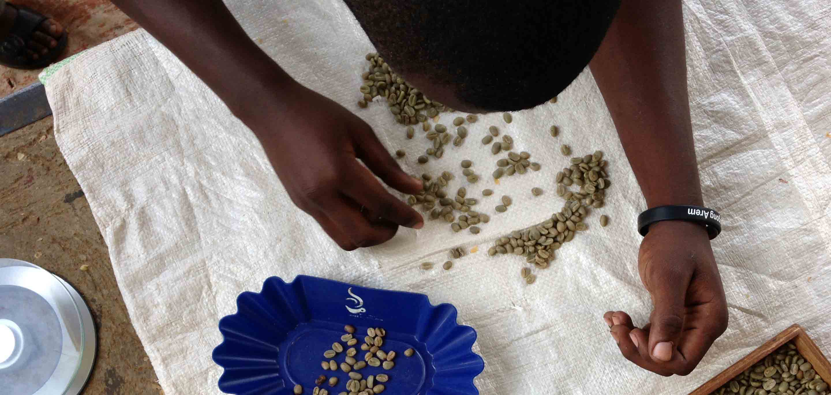 A Trip to Africa: Day 6 - The Mystery Coffee's Story