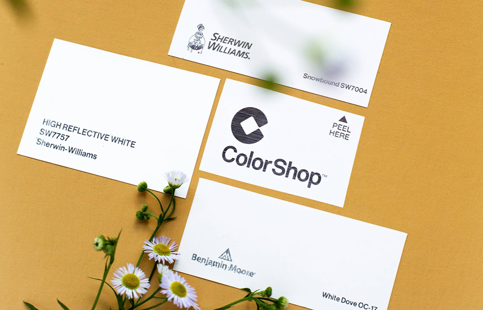 White Colorshop samples/Photography: Gabrielle Langdon/Start sampling with some of the go-to white paints beloved by pro designers.