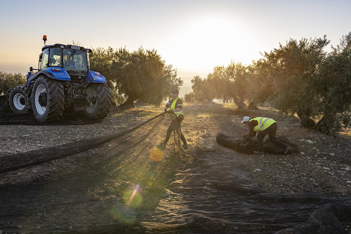 Commitment to Sustainability for a Better Tomorrow