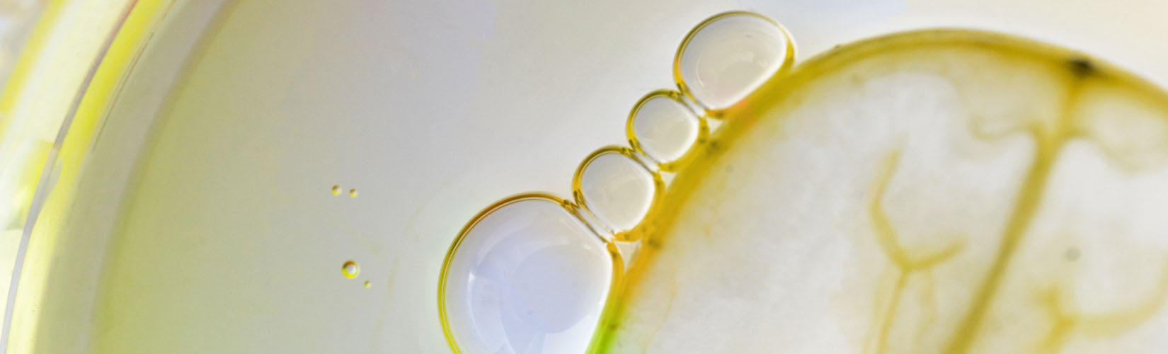 Grape Seed Oil Inside Biotech Dish