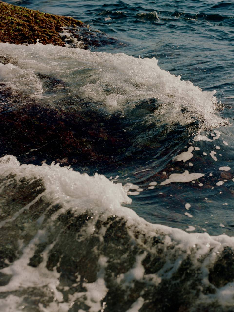 Our Commitment To Transparency Assembly Label