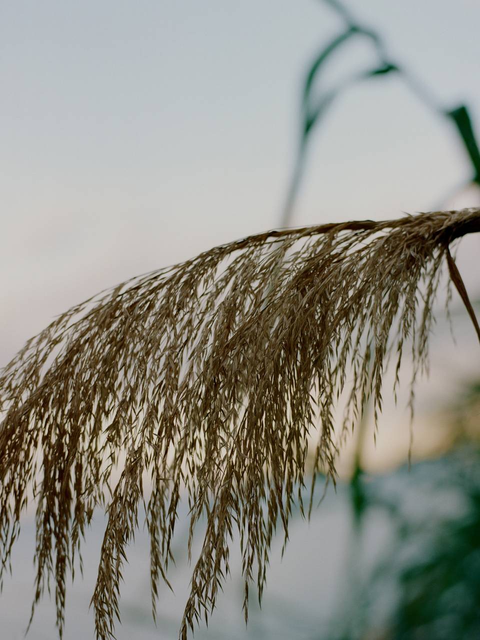 Our Commitment To Transparency Assembly Label