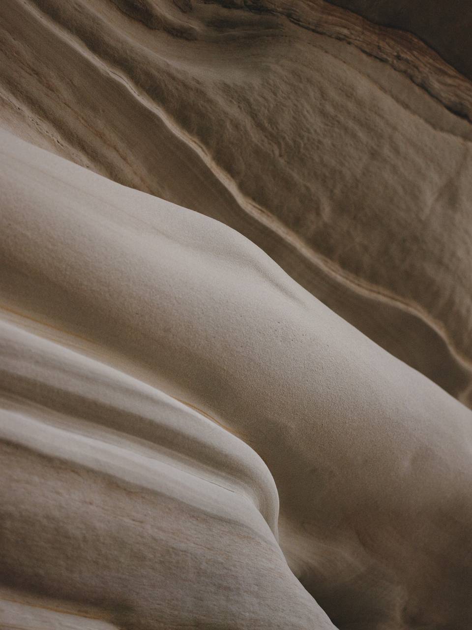 Our Commitment To Transparency Assembly Label