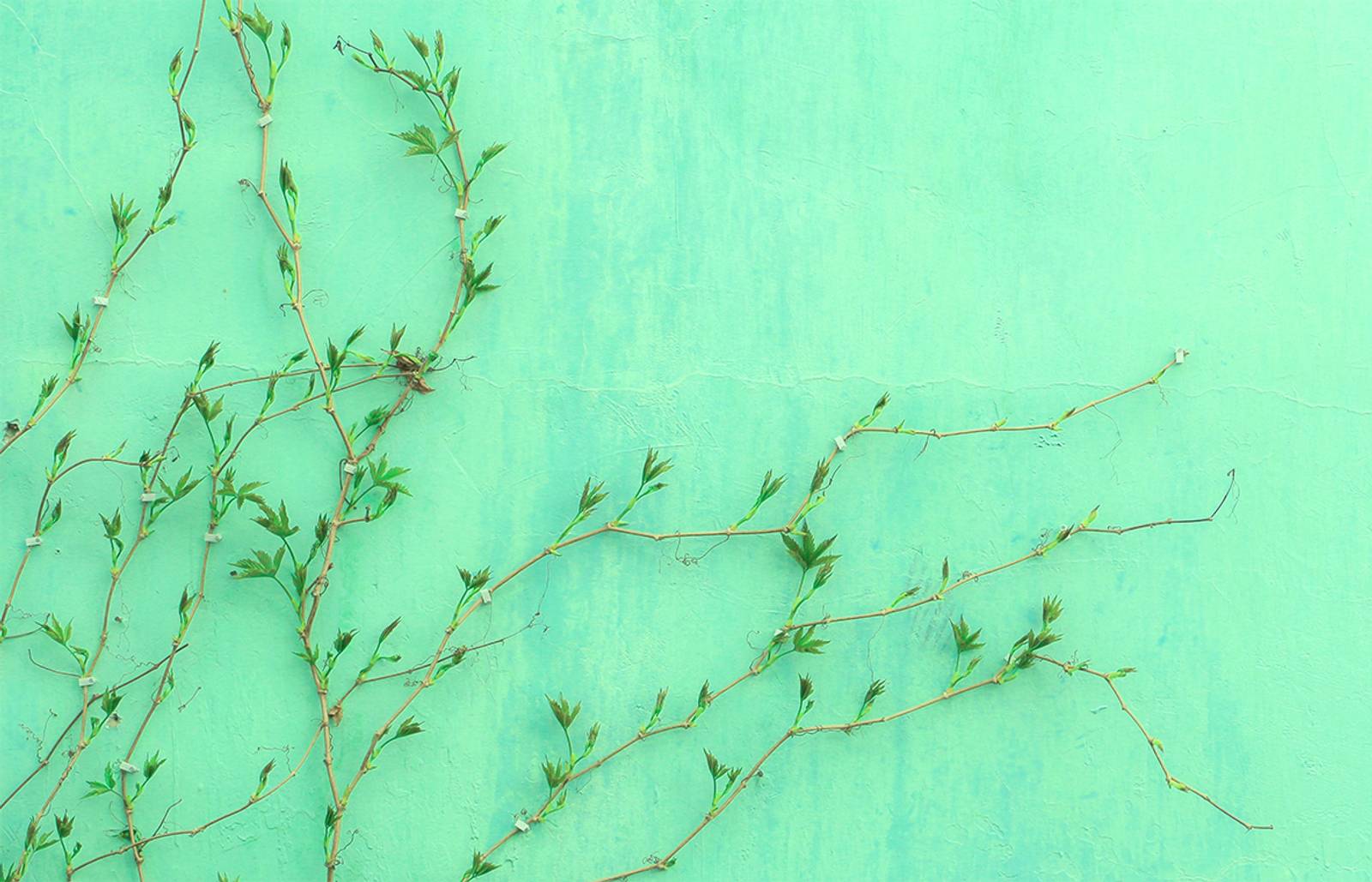 Green background with word Breathe in neon/Photography: Runze Shi/Paint can be problematic for both human health and the environment, but there are ways to mitigate its impact.