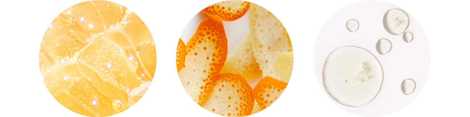 Abstract Circles Showing Citrus Fruits And Hydra Boost Texture