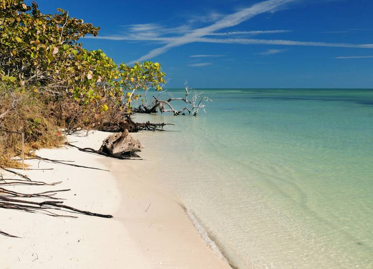 How To Catch Beach Tarpon From A Paddleboard Like A Pro [VIDEO]