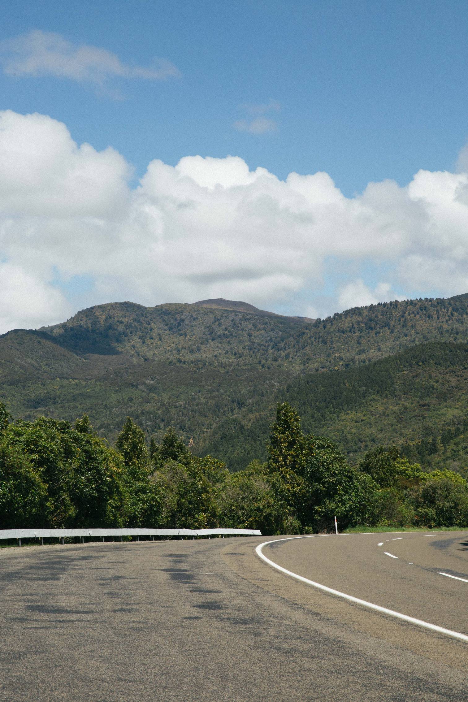 WIN: GREEN KIWI ROADTRIP