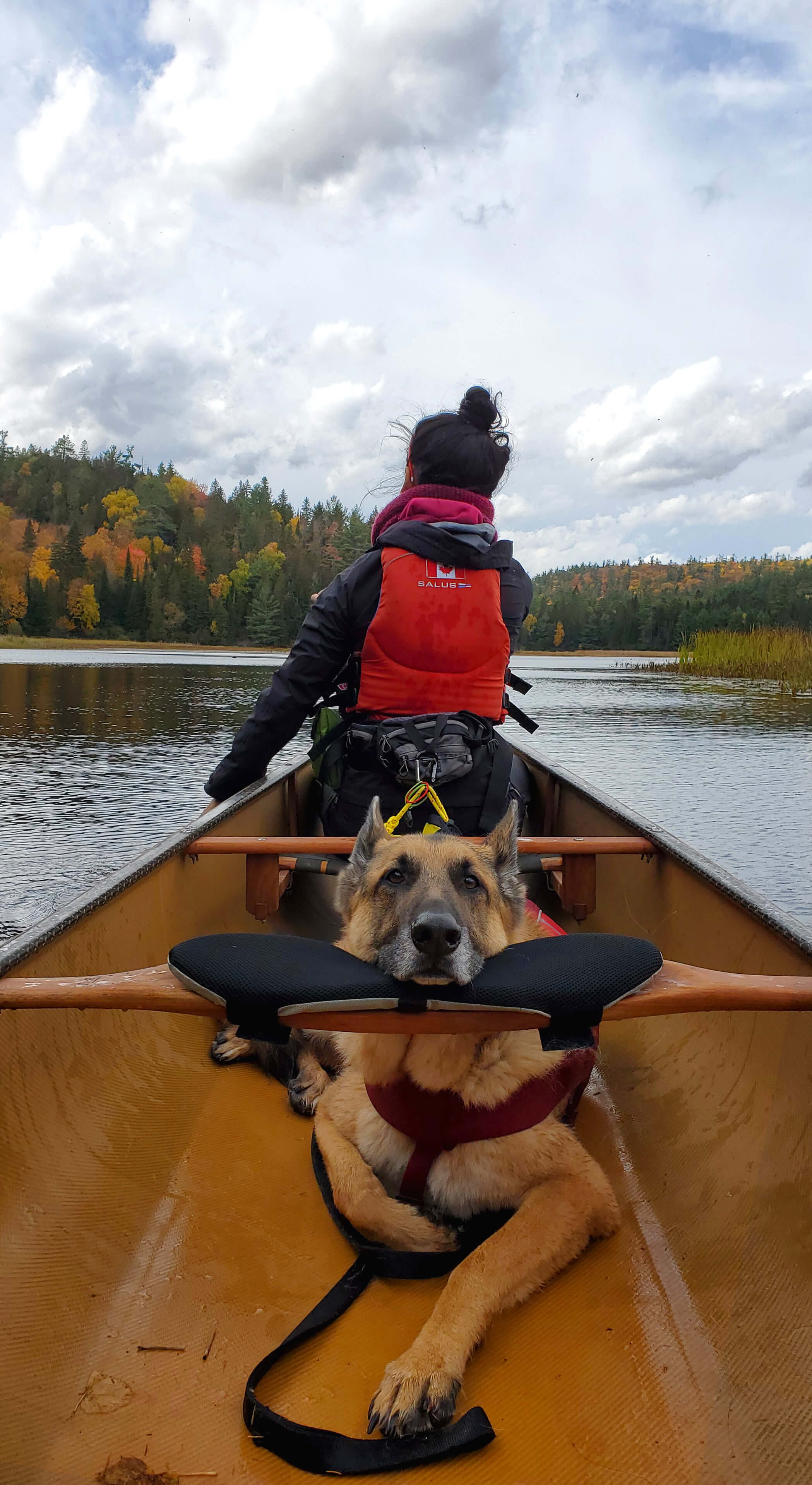 Woman and dog on canoe on a lake