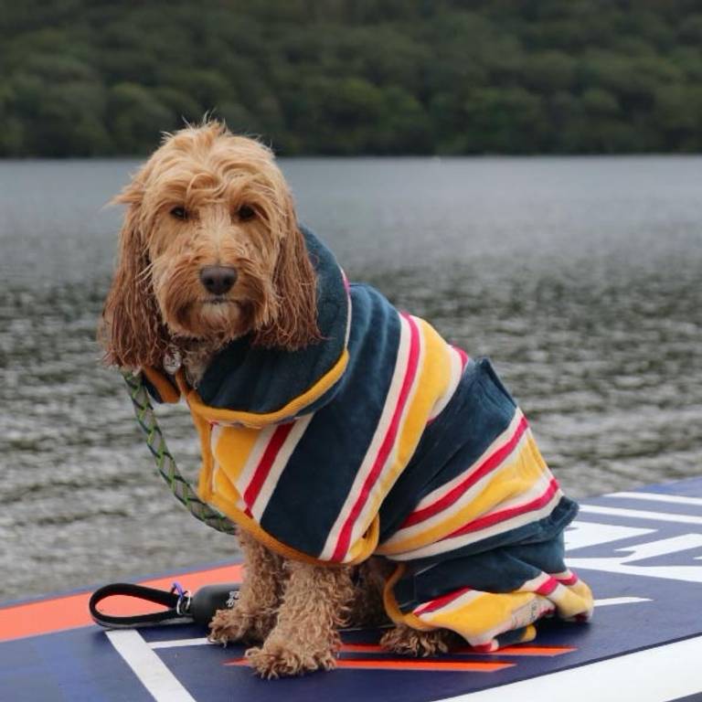 Red Equipment | SUP Life | Reggie The Cockapoo’s 2020 Christmas Gift List