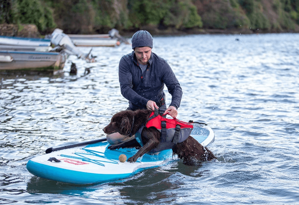 A man pulling his dog up out of the water and onto his paddleboard