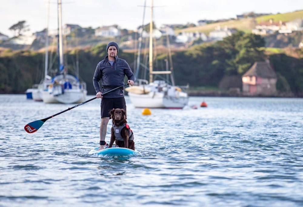 A man Paddleboarding with his dog in a harbour