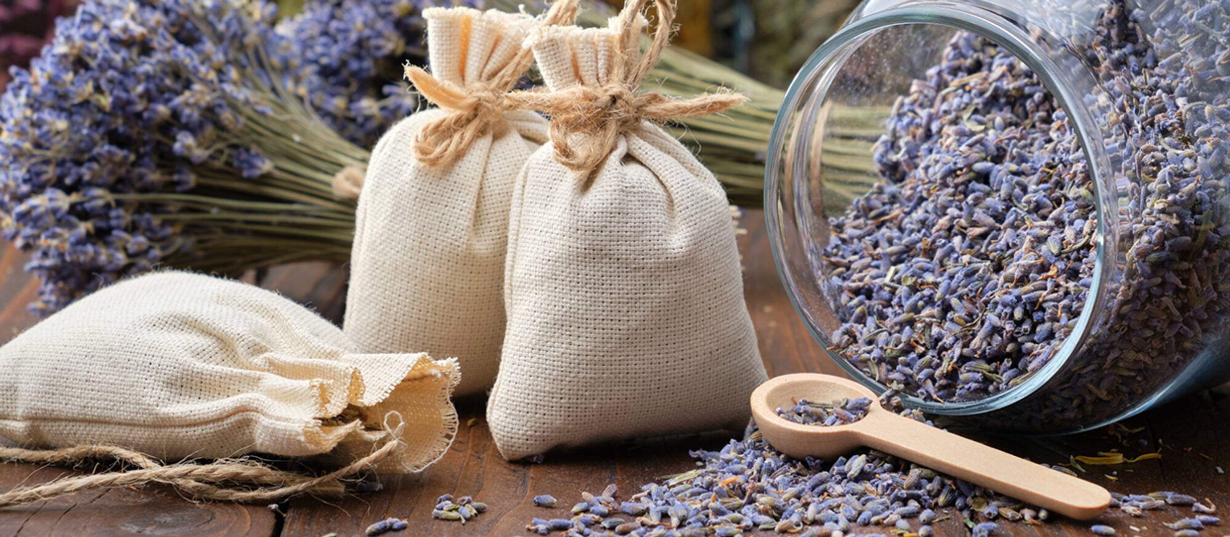 Methods of Essential Oil Extraction in Aromatherapy Blog