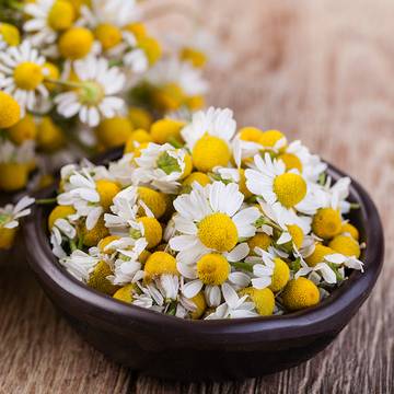 Chamomile Flowers in a Bowl