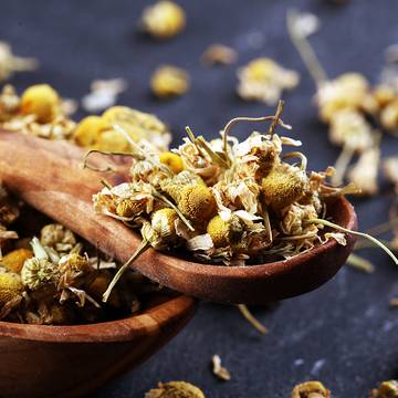 Dried Chamomile Flowers in a large spoon
