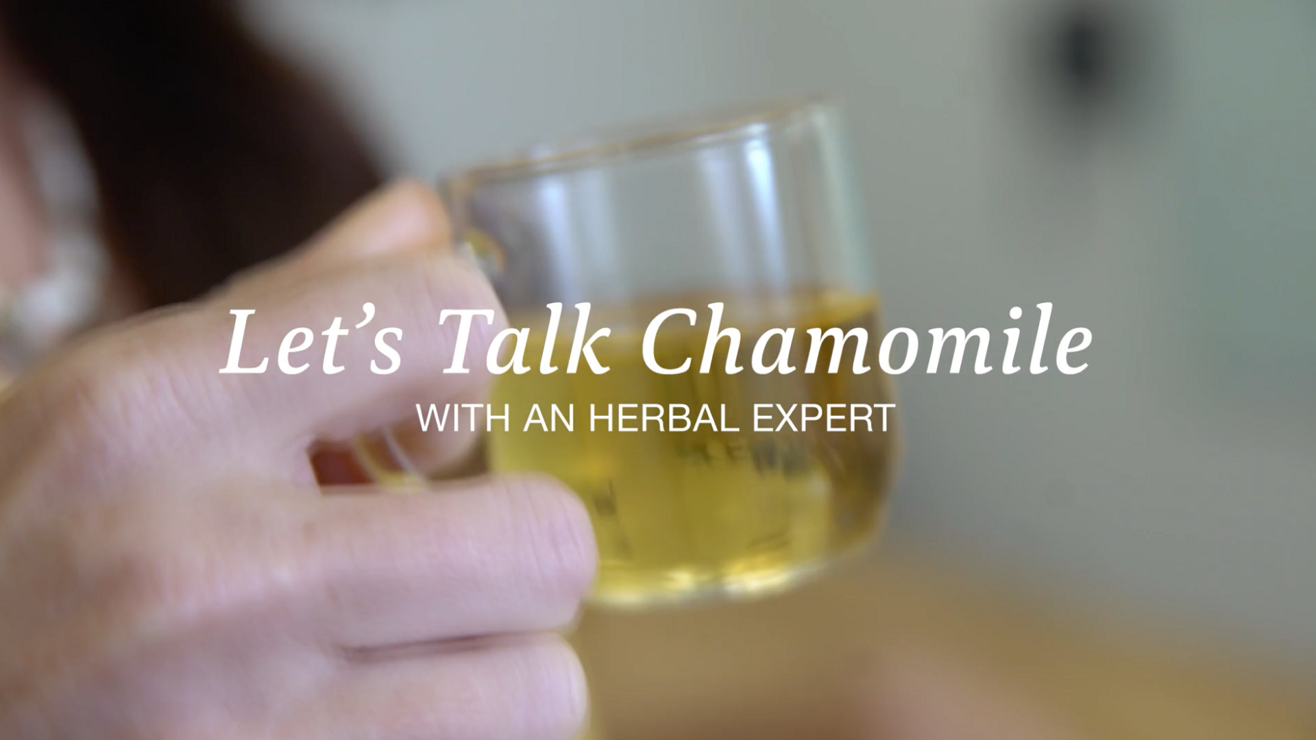 lets talk chamomile with an herbal expert