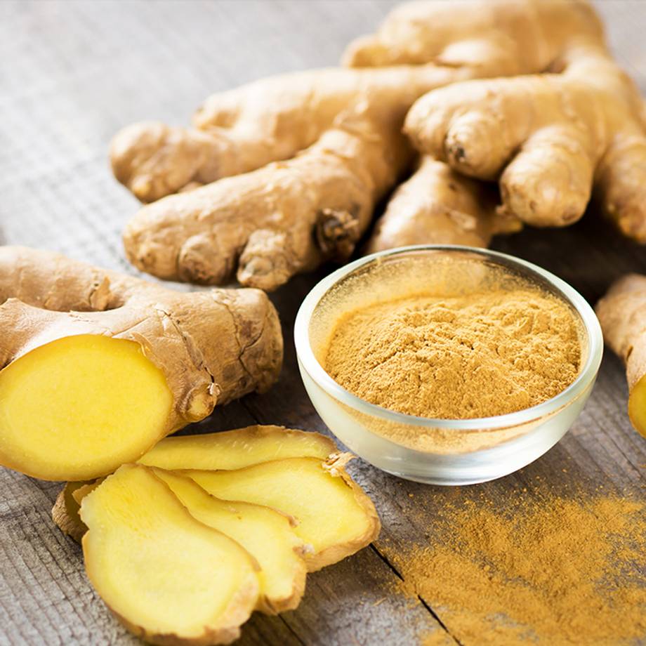 Ginger Rhizome being held in harvesters hands