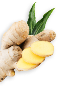 Ginger herb