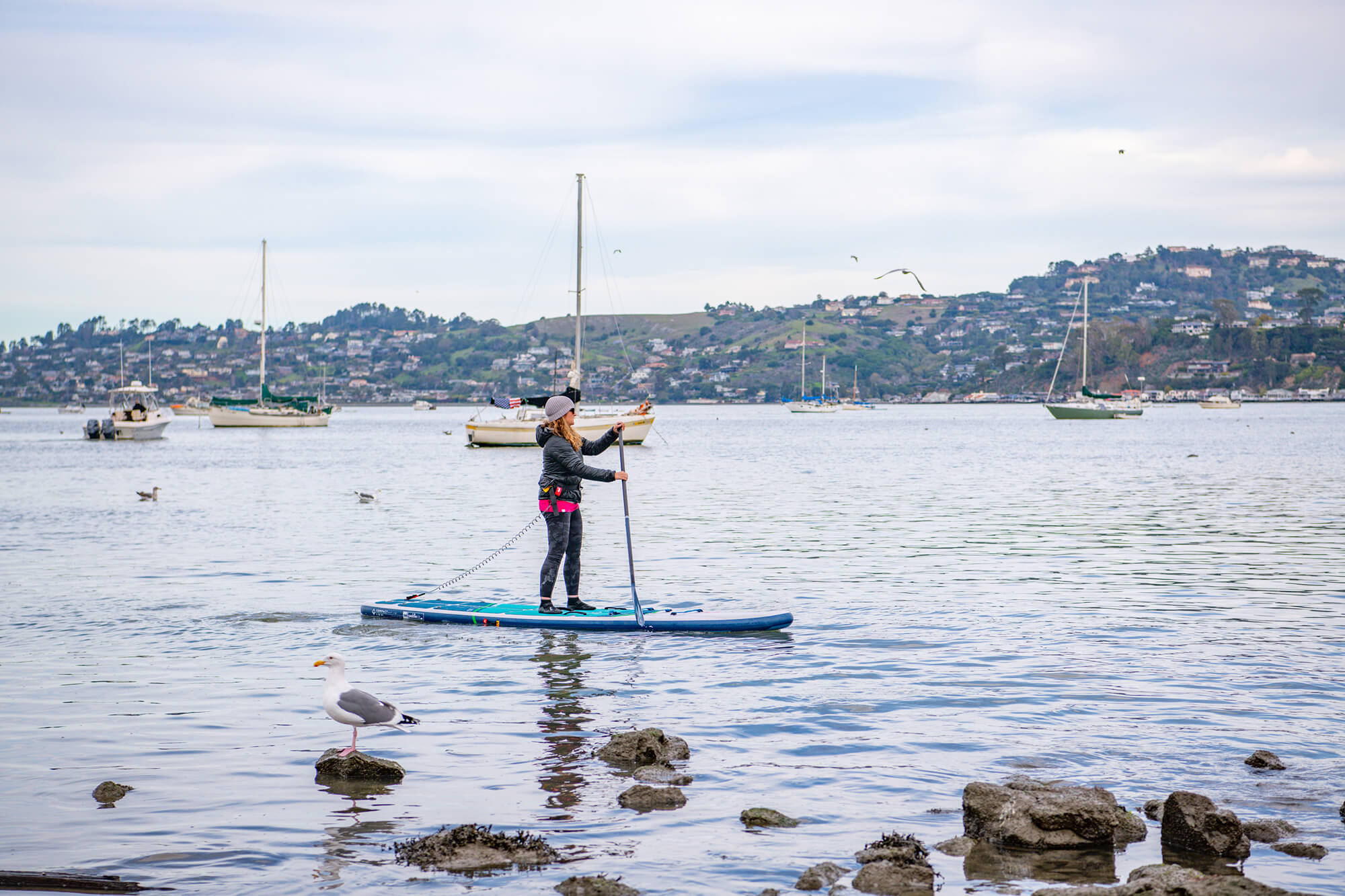 Woman Paddle Boarding In San Francisco with Sail Yachts In The Background