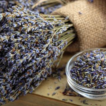 Bowl of dry lavender flowers, mortars, bottles of essential lavender oil or  infused water. Old books and medicinal herbs on background. Stock Photo