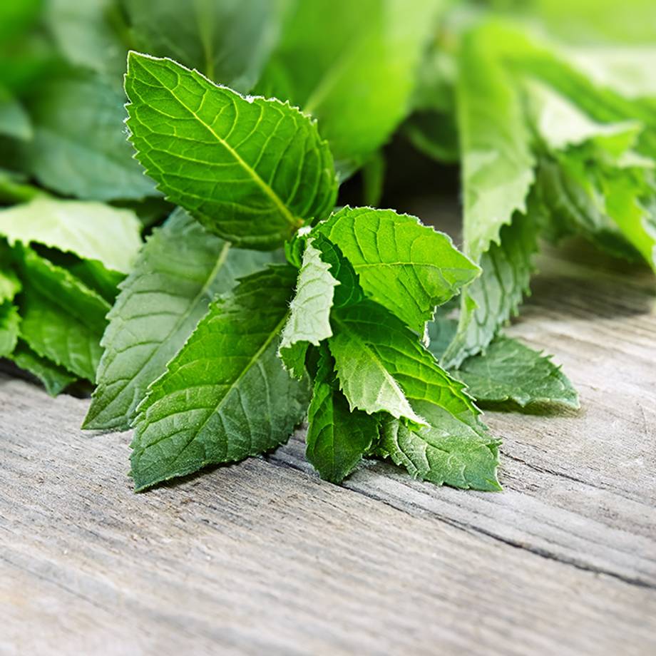 Peppermint Leaves