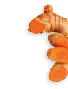 Turmeric herb