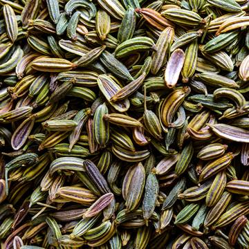 Fennel Seeds Dried