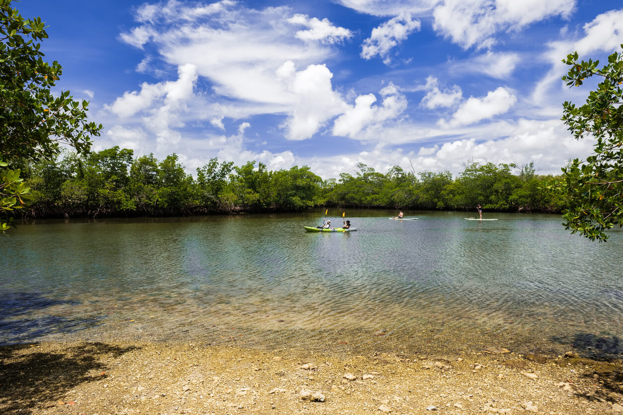 kayaks and paddle boards at the popular Oleta River State Park in North Miami Beach