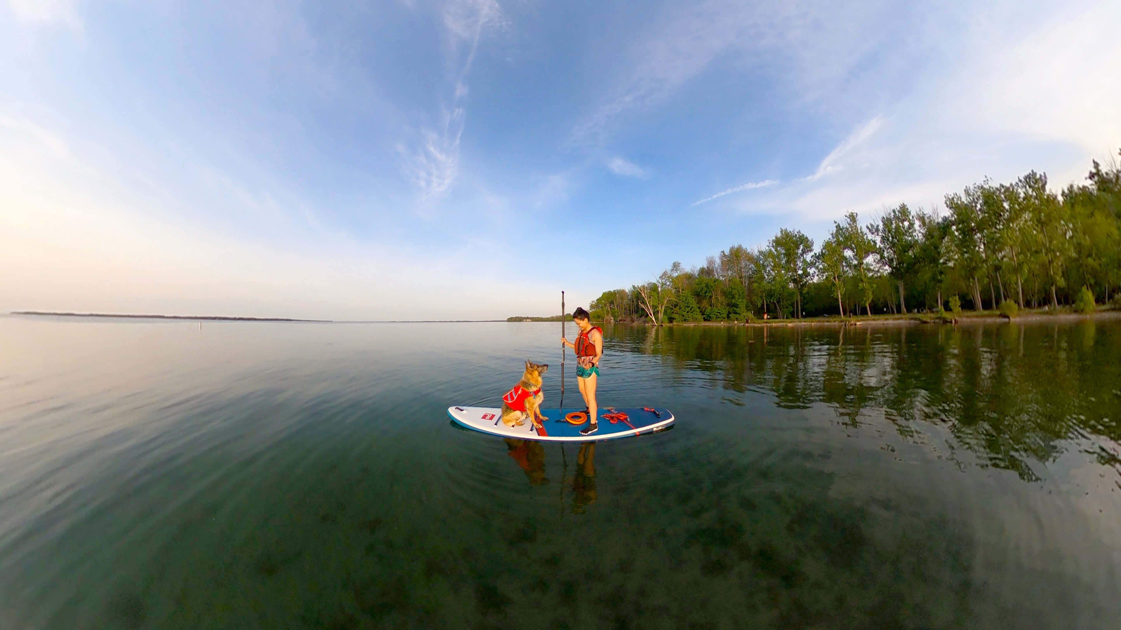 Woman and dog on paddling board on lake