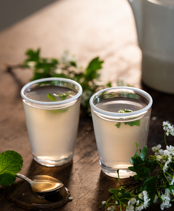 Nettle & Honey Tea Recipe, by Hannah Thomas of Herbs & Wild  Seasonal Spring Recipes  Foraging Wild Foods Recipe  Nettle Hawthorn Primrose Honey Vinegar Tea