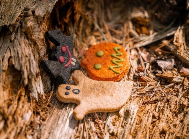 Toxic Foods Your Dog Should AVOID This Halloween