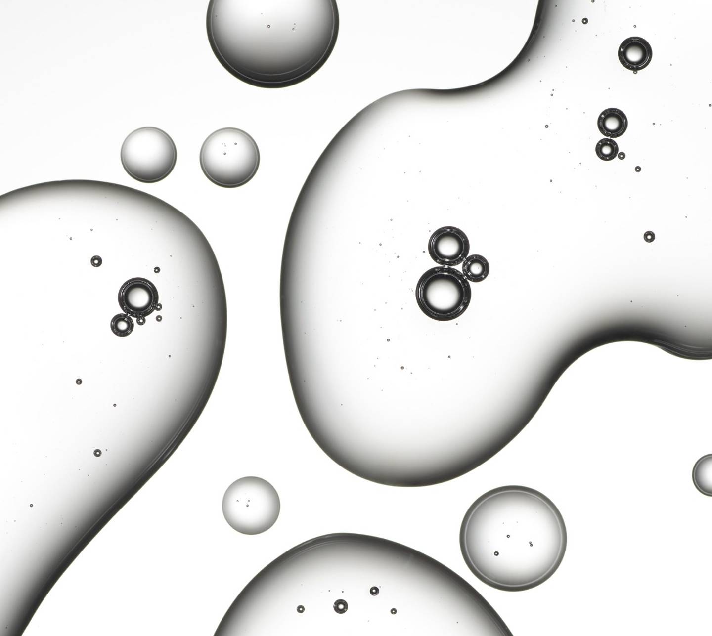 Close up of clear liquid droplets in varying sizes on a white background