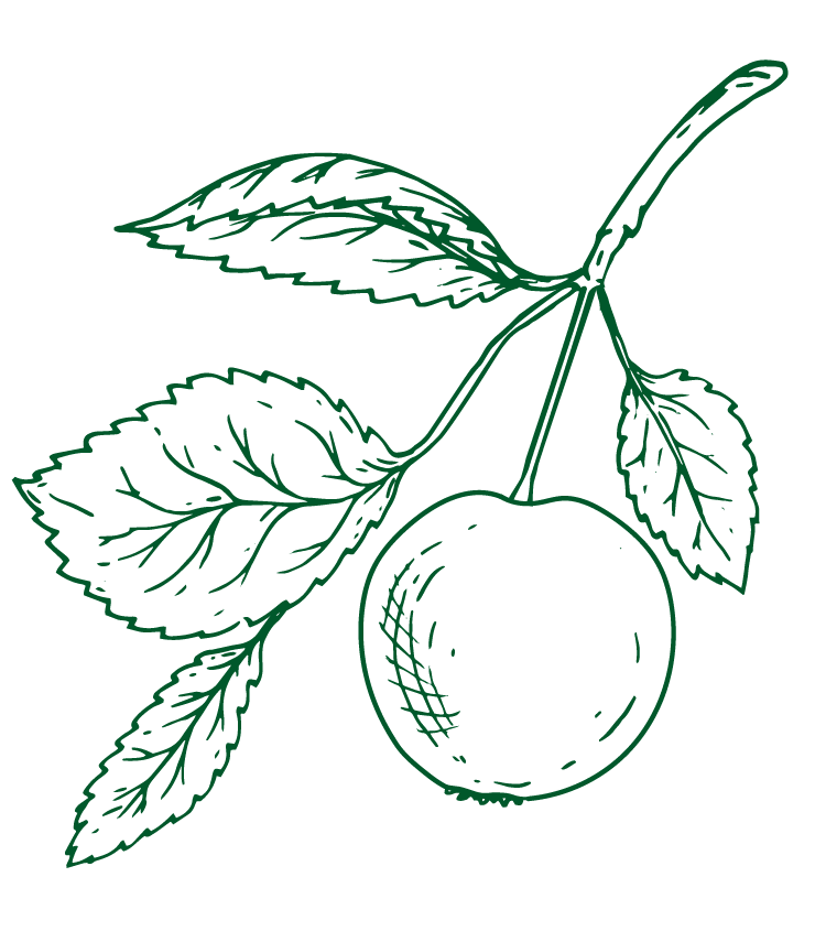 Wild Apple illustration
