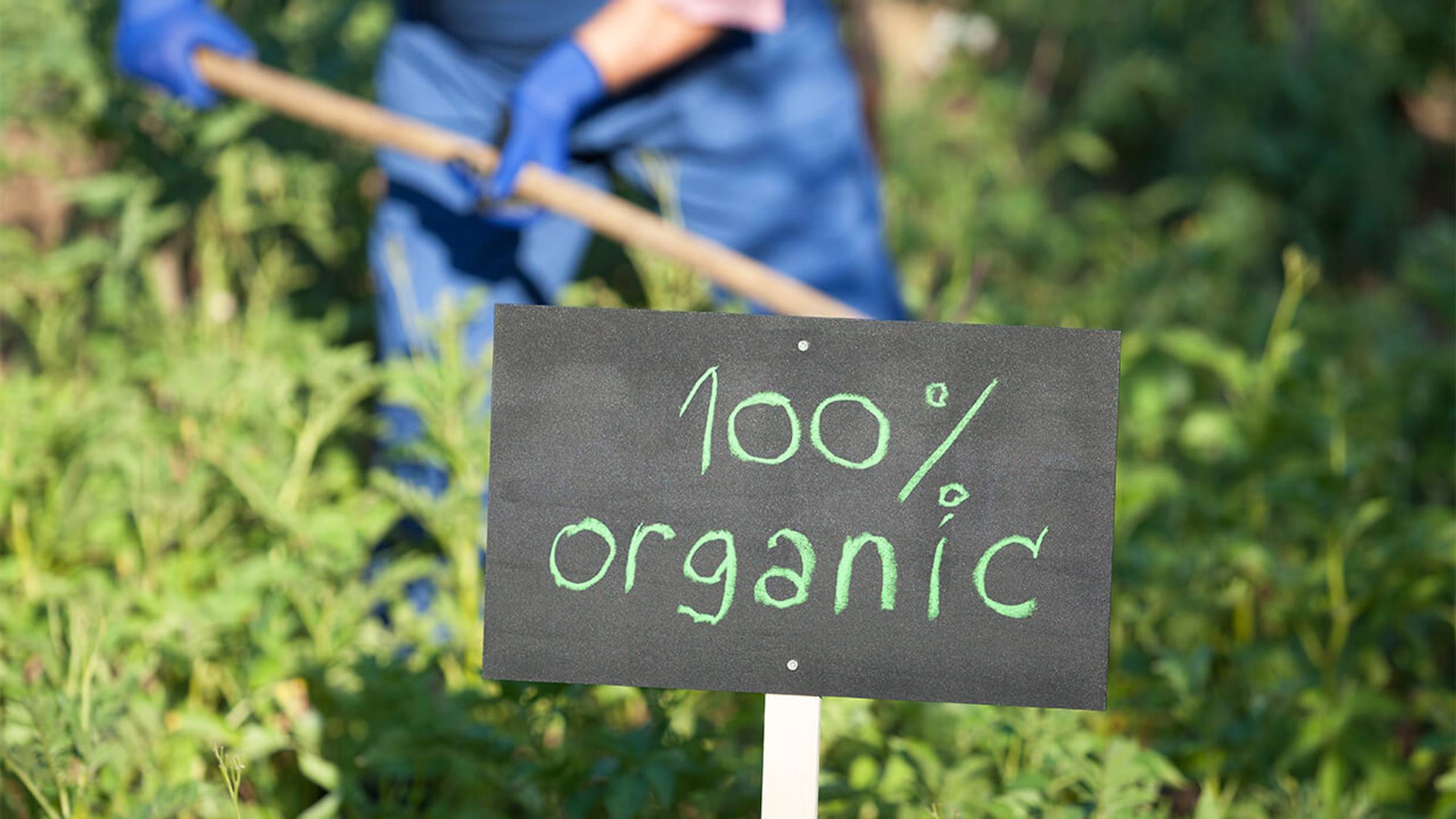 Why choose certified organic products over others?