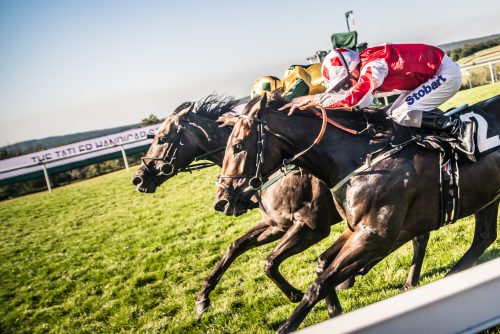 QGF_18_JaysonFong_0257-500x334