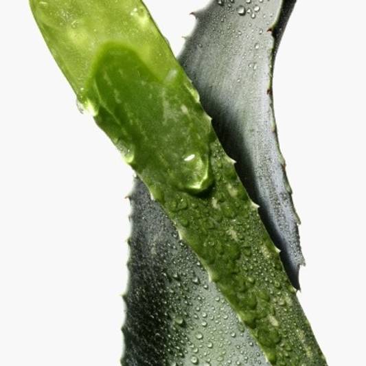 5 Aloe Vera Benefits in Skincare You Didn't Know