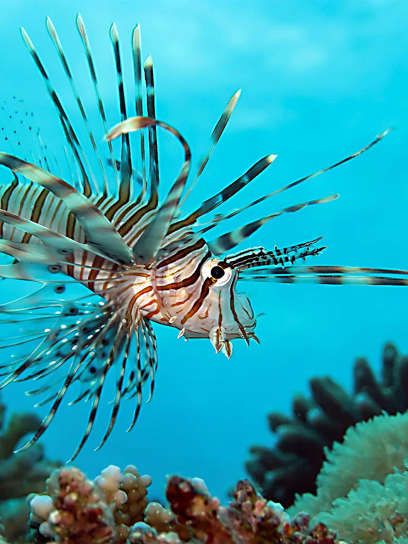 Globe-Trotter-Journal-Blog-F1-Saudi-Arabia-009