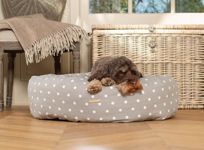 What's the best? Soft or Firm dog bed