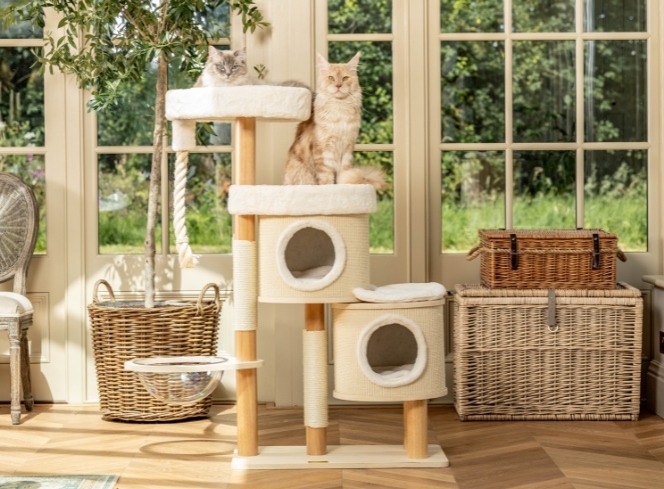 Cat Trees & Scratching: How to Stop Destructive Behaviour