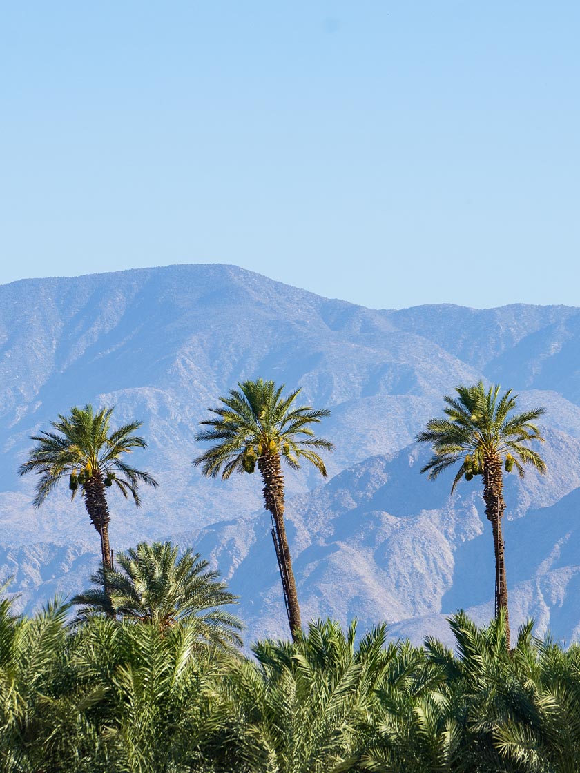 Globe-Trotter-Journal-Blog-Palm-Springs-003